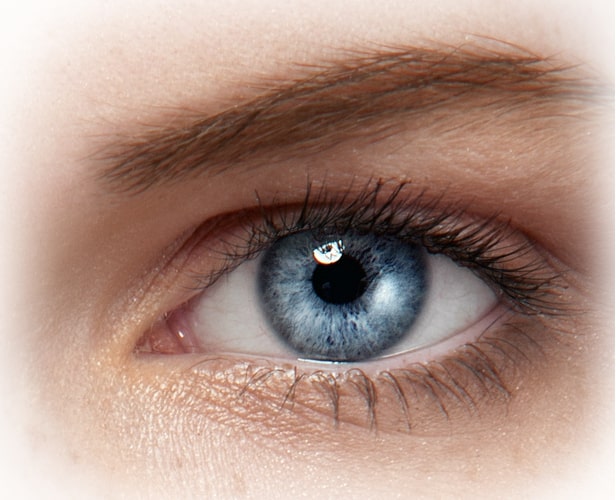 eye